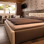 Hotel Brunnenbach 3*