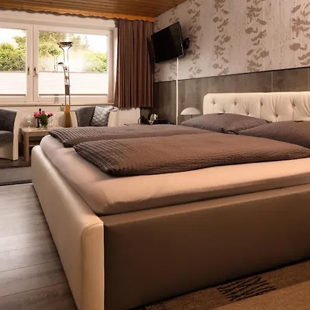 Hotel Brunnenbach 3*