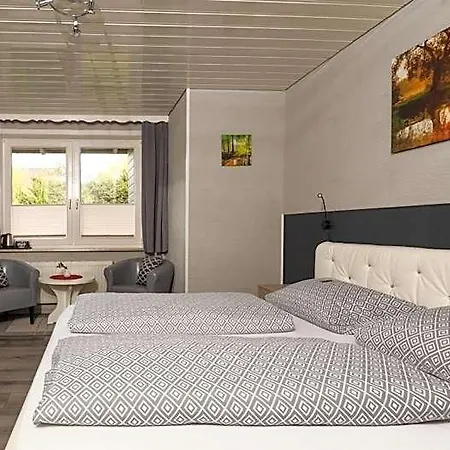 Hotel Brunnenbach 3*