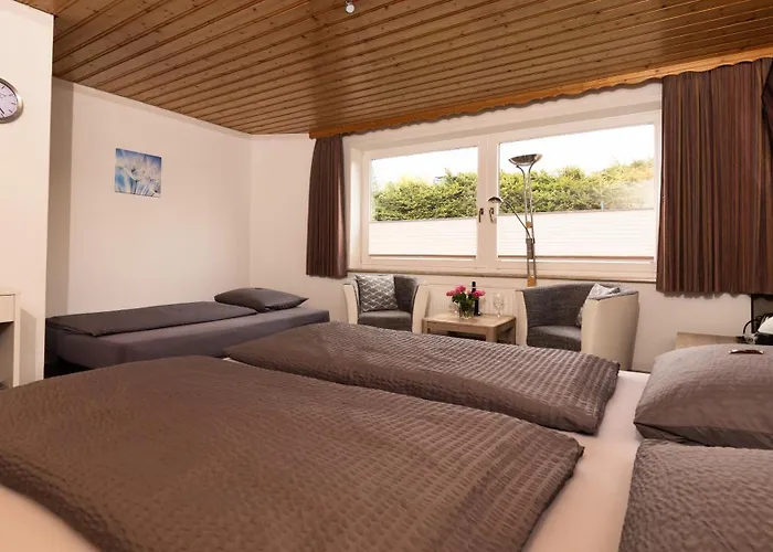 Brunnenbach 3* Браунлаге