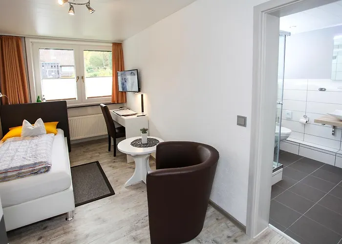 Отель Brunnenbach