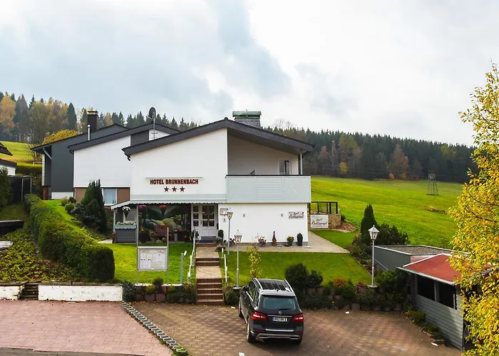 Brunnenbach Отель 3*